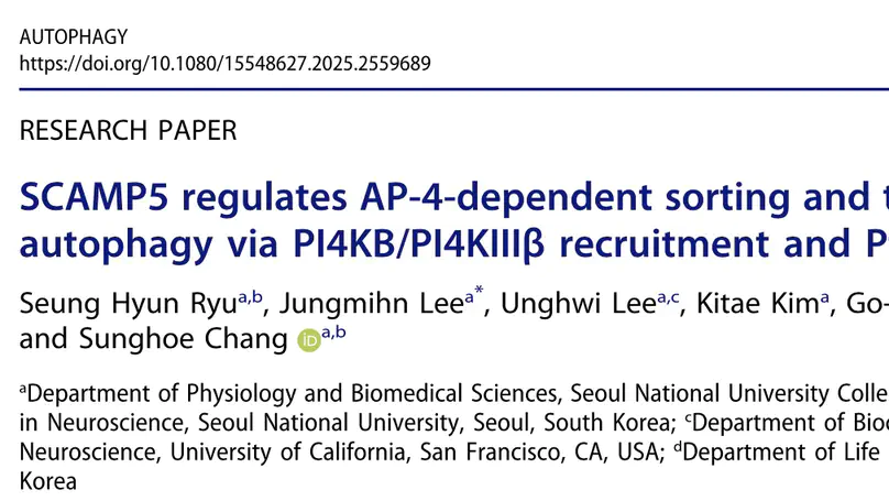 SCAMP5 regulates AP-4-dependent sorting and trafficking of ATG9A for presynaptic autophagy via PI4KB/PI4KIIIβ recruitment and PtdInsP4 production at the TGN