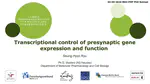 Transcriptional control of presynaptic gene expression and function 